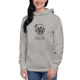 Doctrine and Devotion Banter of Truth Hoodie
